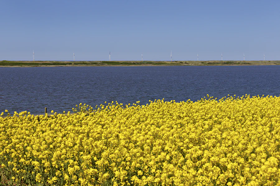 078 | 2025 | Lemvig | © carsten riede fotografie