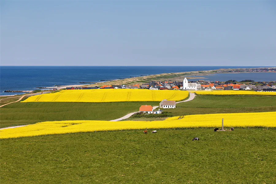 096 | 2025 | Lemvig | Blick vom Bovbjerg Fyr | © carsten riede fotografie