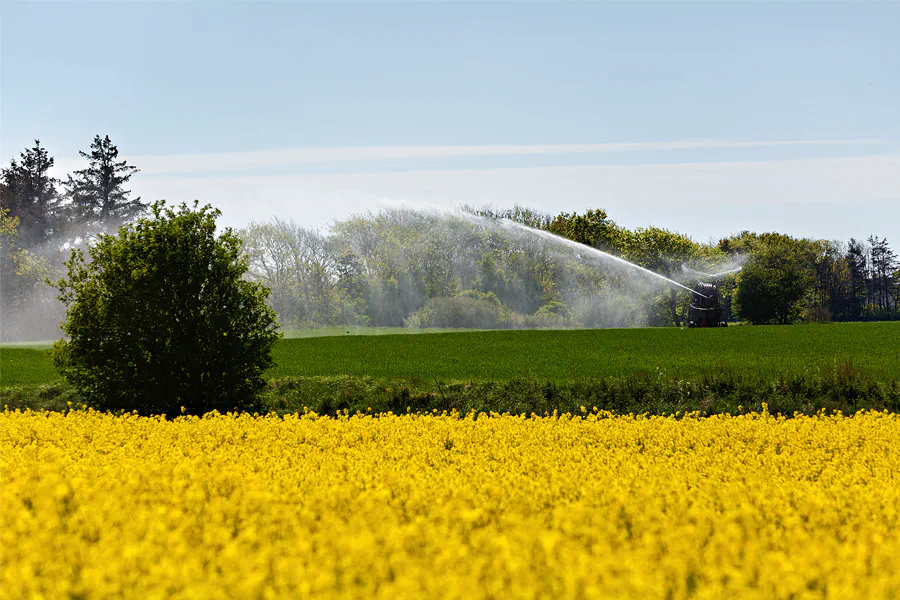 142 | 2025 | Region Midtjylland | © carsten riede fotografie