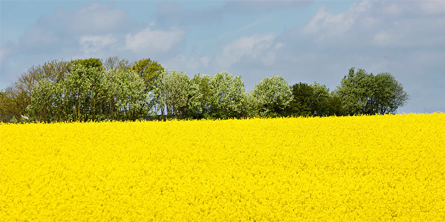 144 | 2025 | Region Midtjylland | © carsten riede fotografie