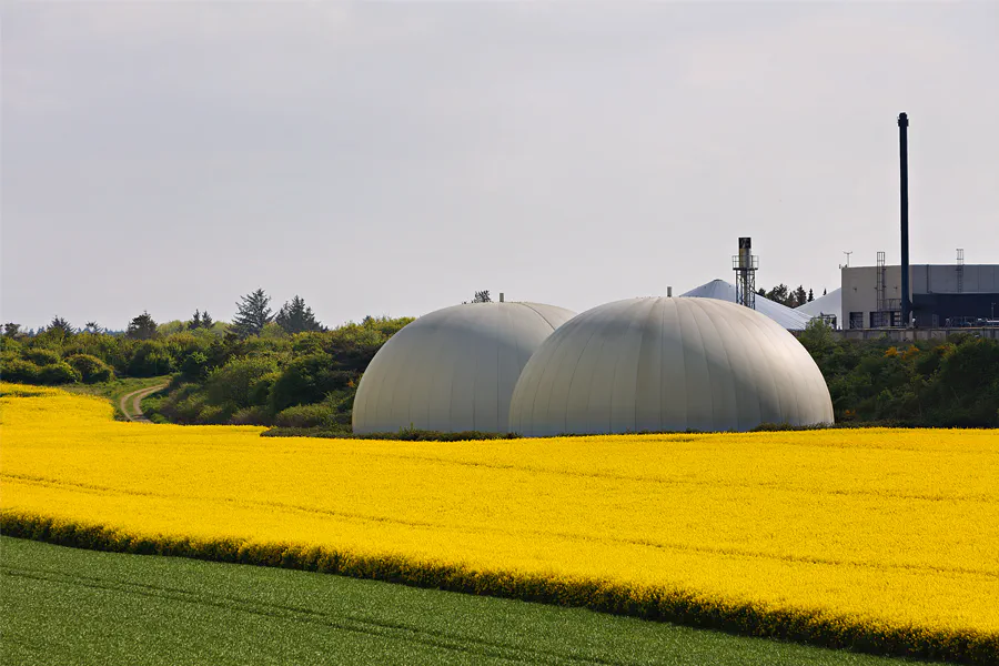 145 | 2025 | Region Midtjylland | © carsten riede fotografie