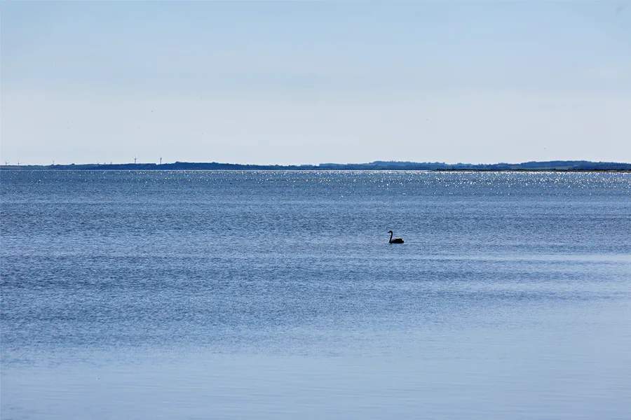 154 | 2025 | Region Midtjylland | © carsten riede fotografie
