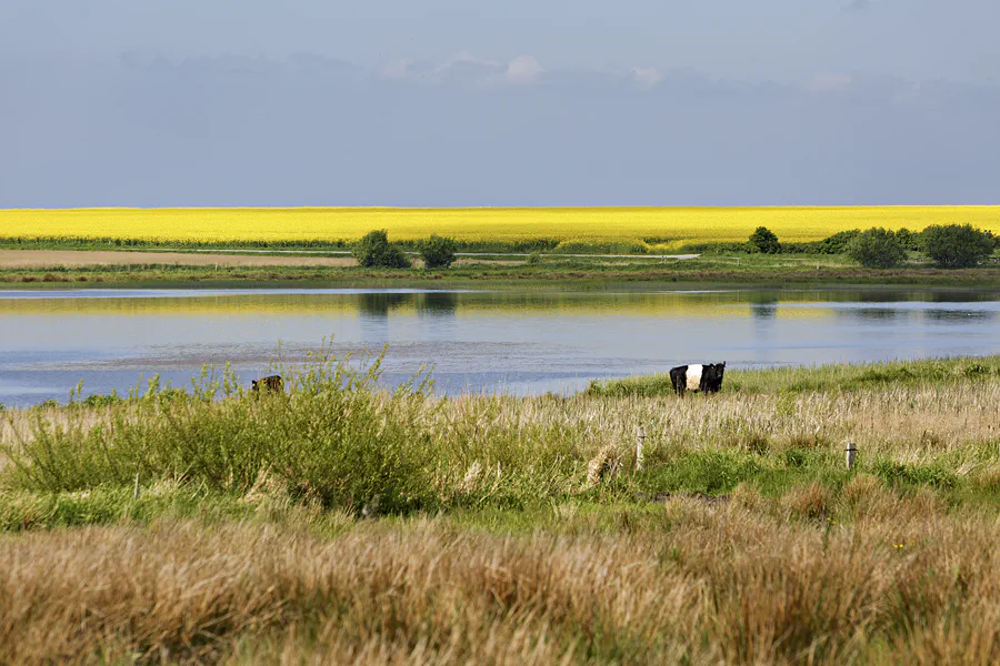 171 | 2025 | Spottrup | © carsten riede fotografie