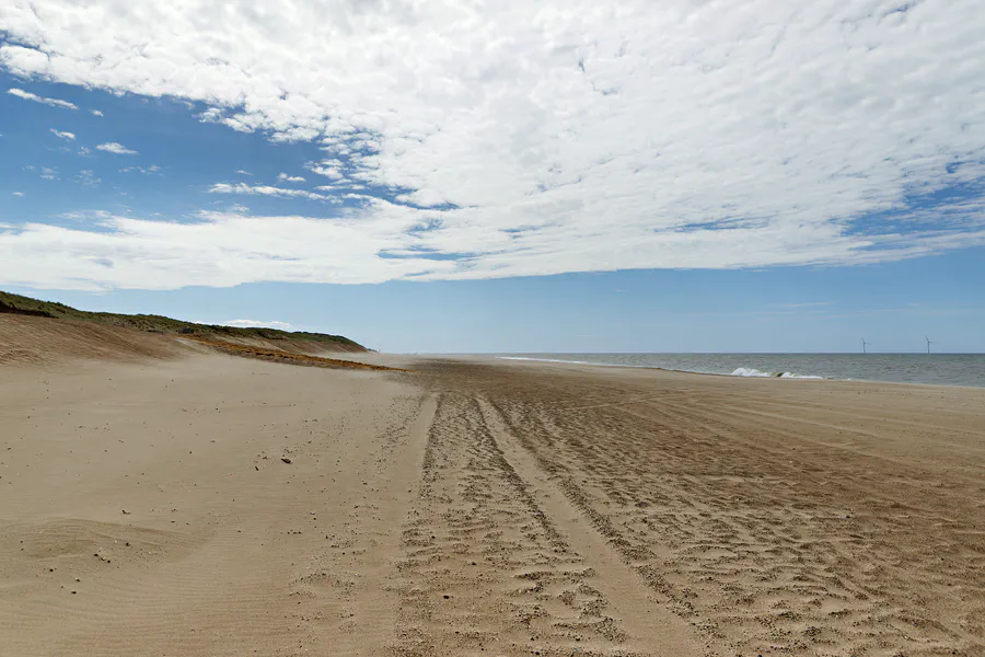 211 | 2025 | Vejlby Klit | © carsten riede fotografie