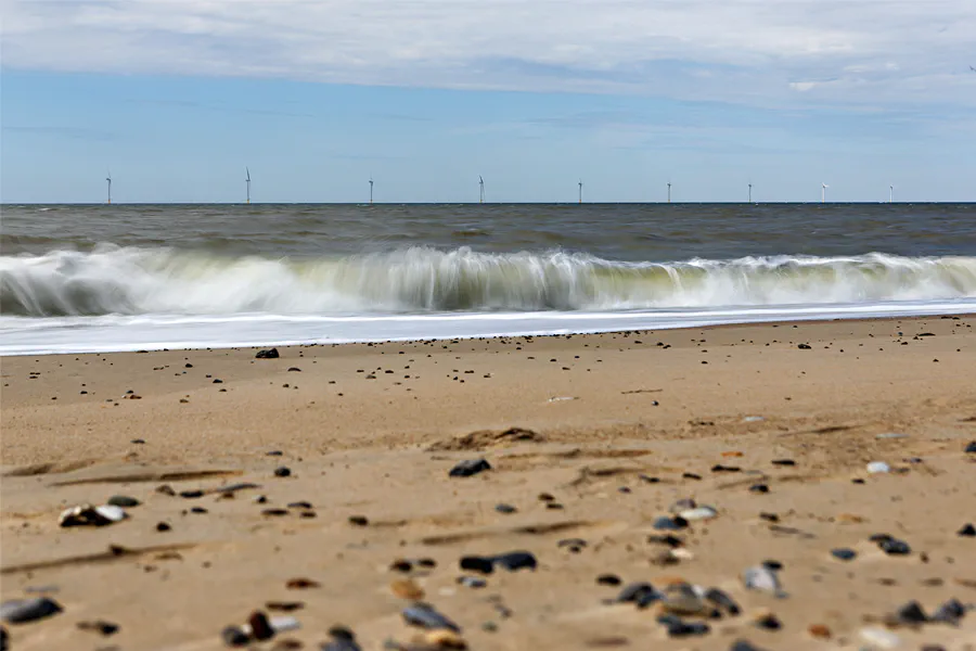 212 | 2025 | Vejlby Klit | © carsten riede fotografie