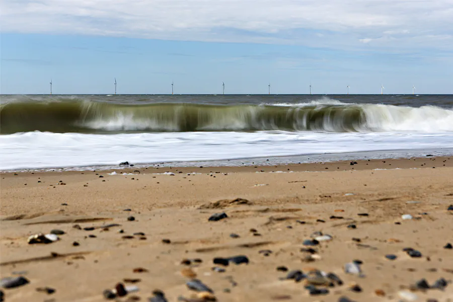 213 | 2025 | Vejlby Klit | © carsten riede fotografie