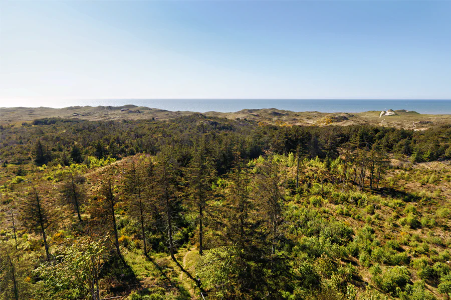 223 | 2025 | Vestervig | Blick vom Lodbjerg Fyr | © carsten riede fotografie