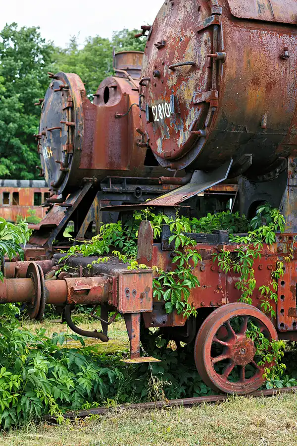 002 | 2025 | Falkenberg/Elster | Loksammlung Falkenberg | © carsten riede fotografie