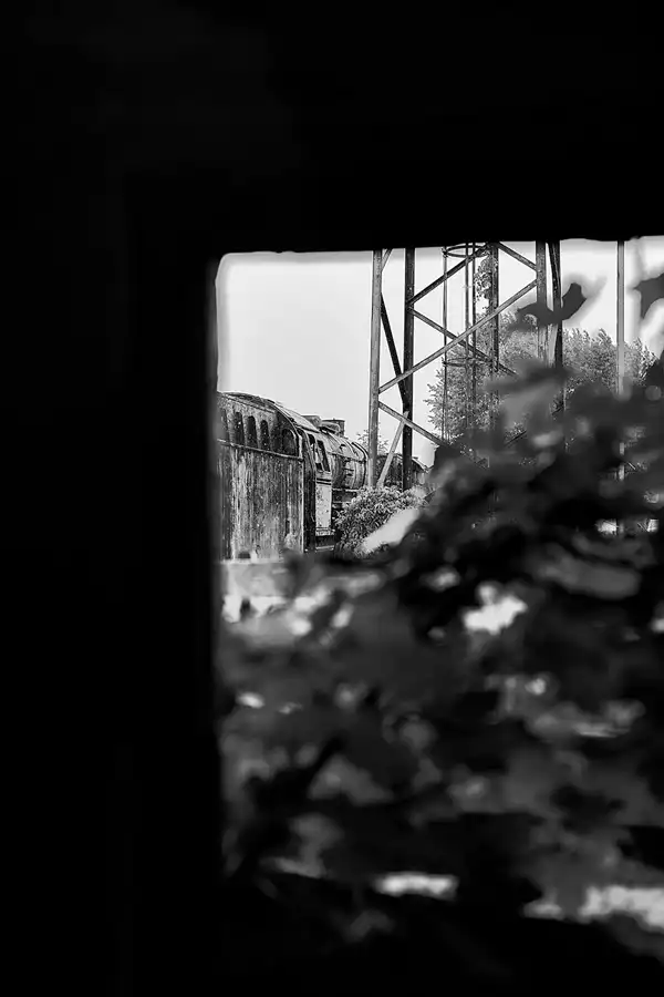 019 | 2025 | Falkenberg/Elster | Loksammlung Falkenberg | © carsten riede fotografie