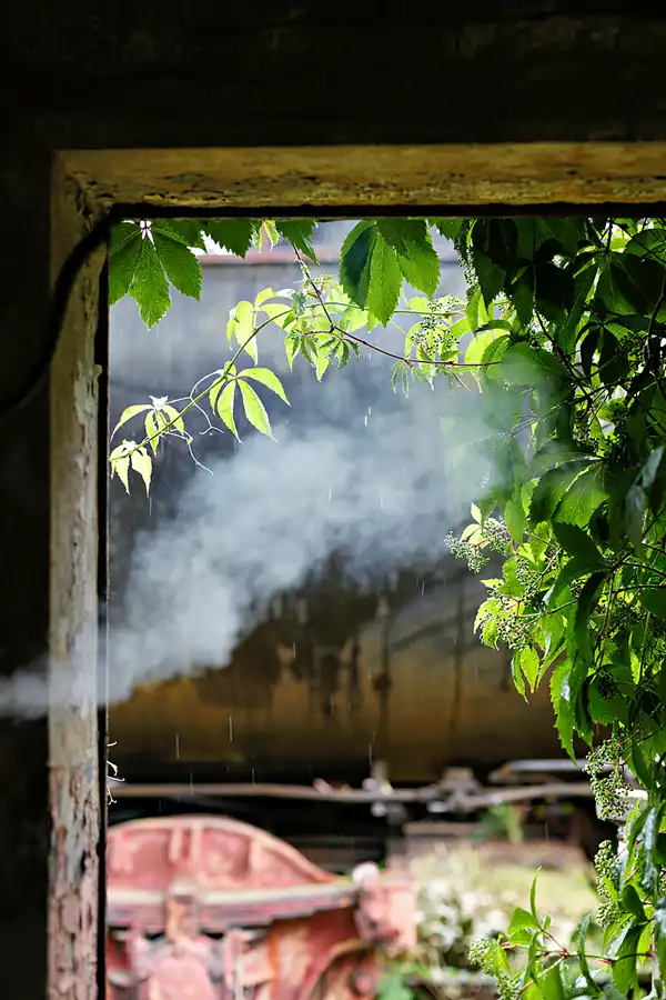 021 | 2025 | Falkenberg/Elster | Loksammlung Falkenberg | © carsten riede fotografie