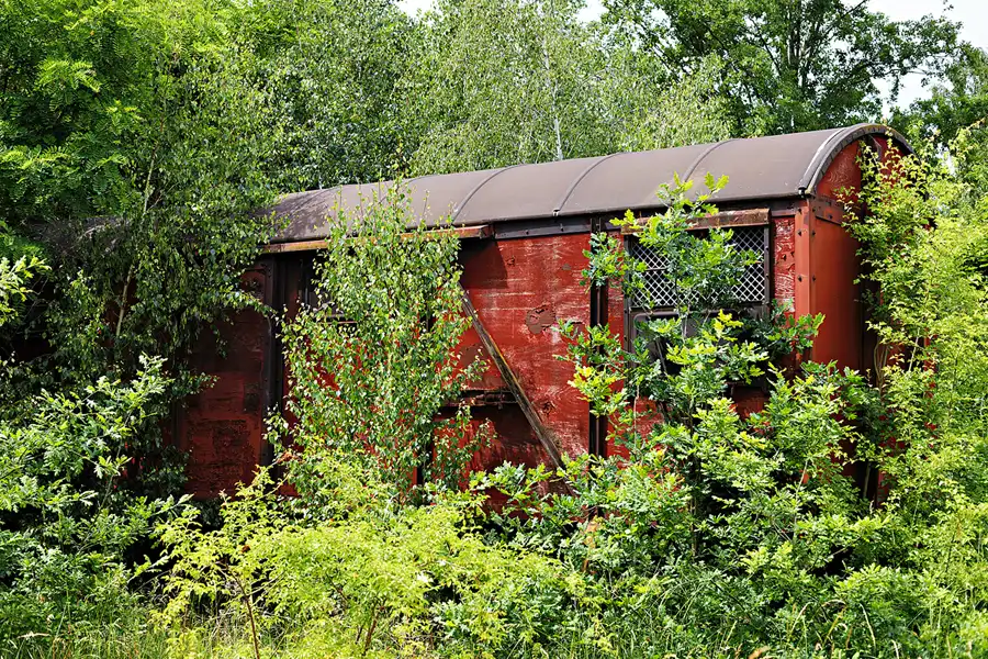 048 | 2025 | Falkenberg/Elster | Loksammlung Falkenberg | © carsten riede fotografie