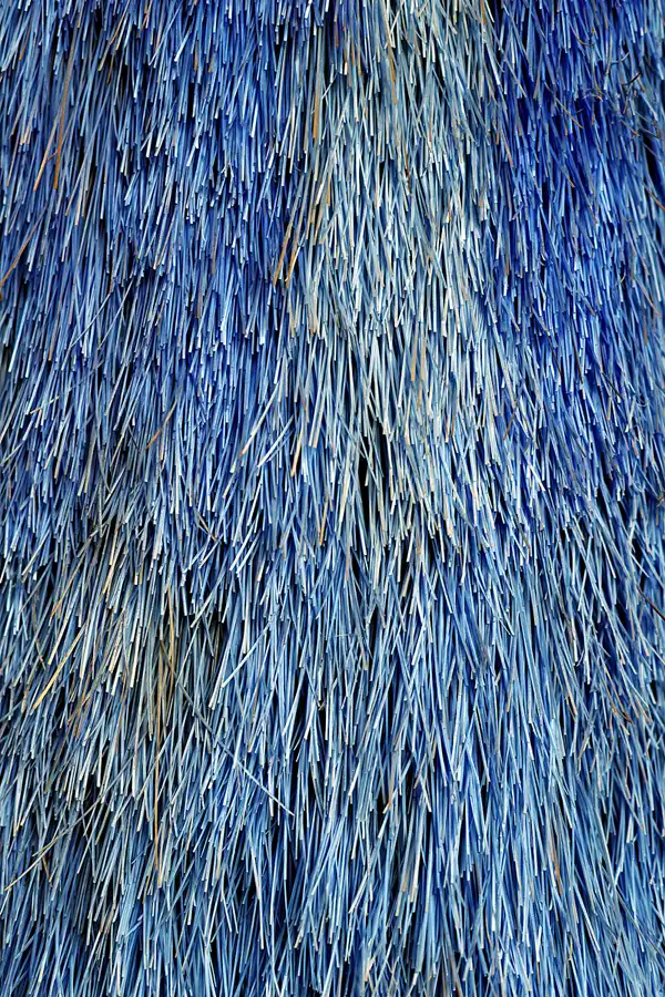 063 | 2025 | Falkenberg/Elster | Loksammlung Falkenberg | © carsten riede fotografie