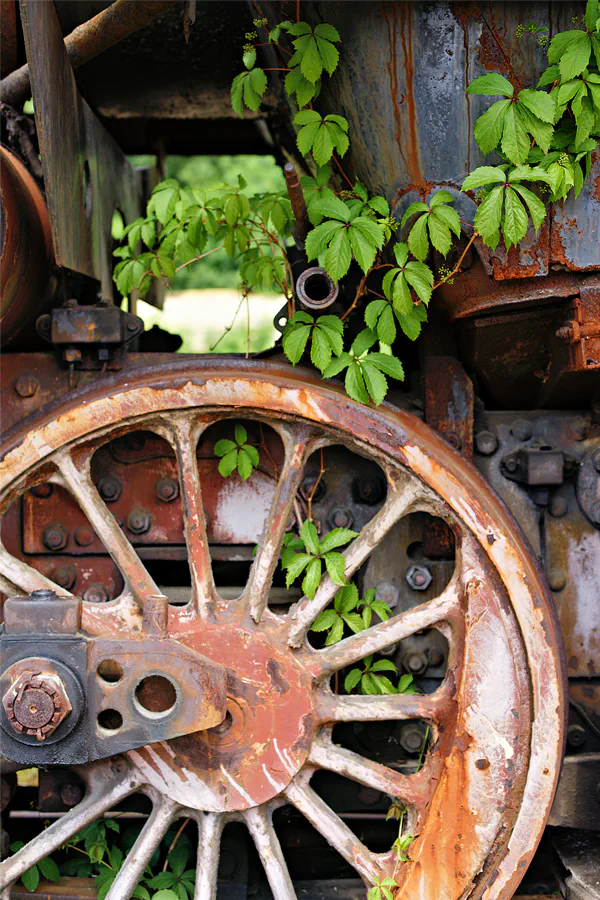 003 | 2025 | Falkenberg/Elster | Loksammlung Falkenberg | © carsten riede fotografie