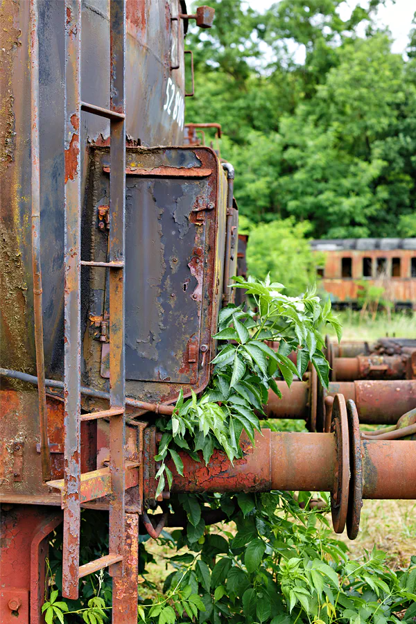 005 | 2025 | Falkenberg/Elster | Loksammlung Falkenberg | © carsten riede fotografie