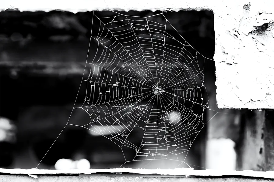 016 | 2025 | Falkenberg/Elster | Loksammlung Falkenberg | © carsten riede fotografie