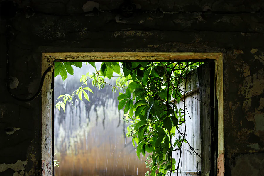 020 | 2025 | Falkenberg/Elster | Loksammlung Falkenberg | © carsten riede fotografie