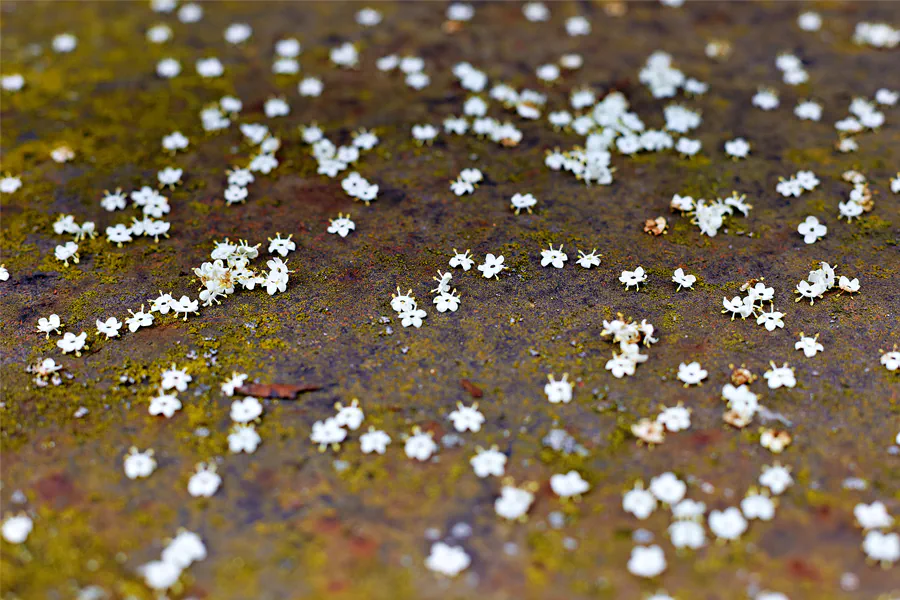 047 | 2025 | Falkenberg/Elster | Loksammlung Falkenberg | © carsten riede fotografie