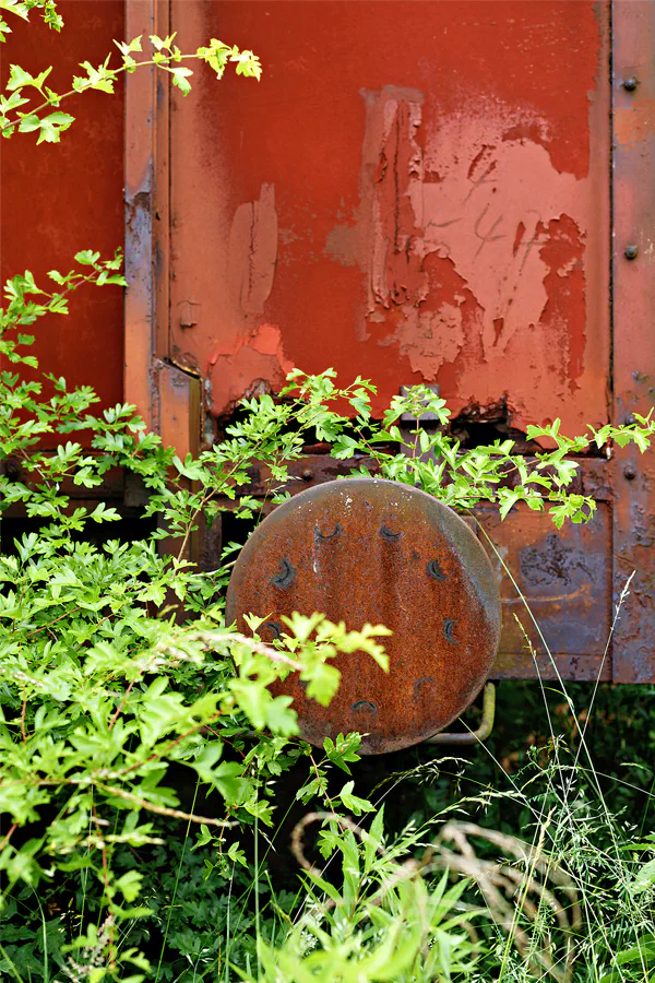 049 | 2025 | Falkenberg/Elster | Loksammlung Falkenberg | © carsten riede fotografie