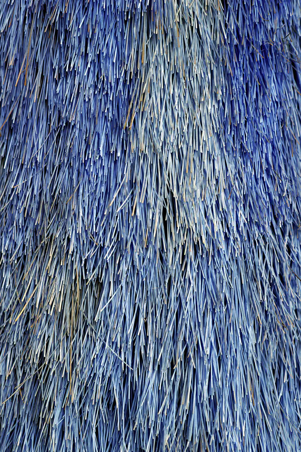 063 | 2025 | Falkenberg/Elster | Loksammlung Falkenberg | © carsten riede fotografie