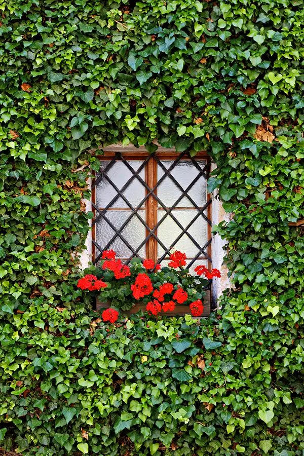 022 | 2025 | Anger | Kloster Höglwörth | © carsten riede fotografie