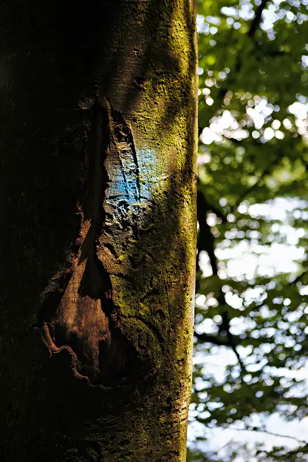 034 | 2025 | Anger | © carsten riede fotografie