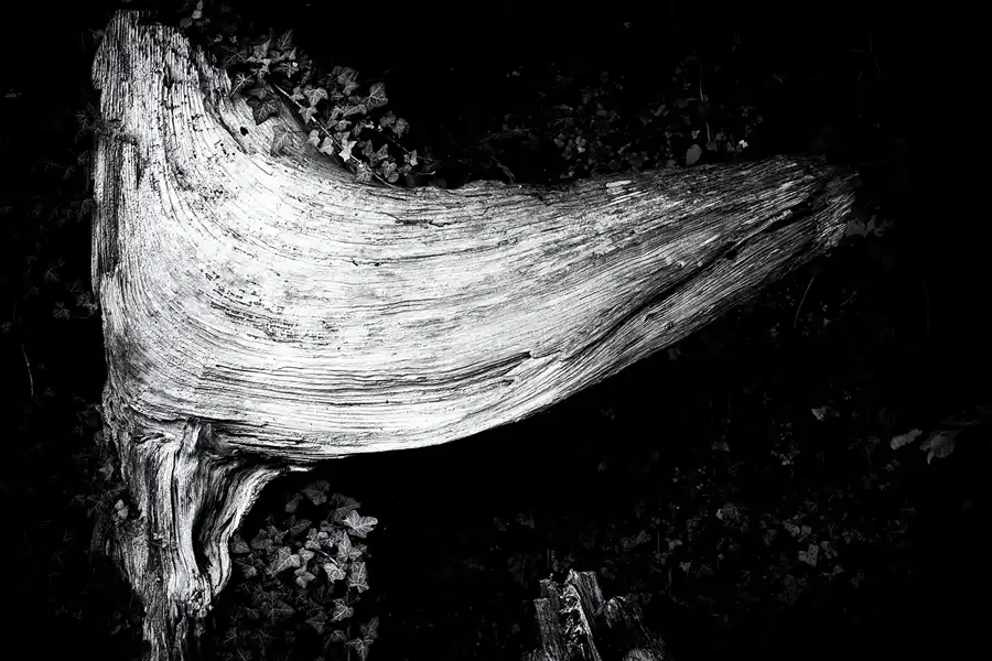 035 | 2025 | Anger | Kloster Höglwörth | © carsten riede fotografie