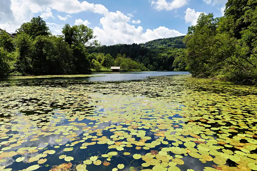 043 | 2025 | Anger | Höglwörther See | © carsten riede fotografie