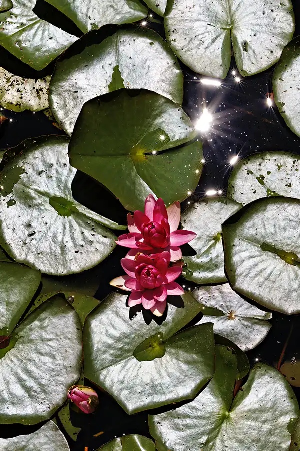 045 | 2025 | Anger | Höglwörther See | © carsten riede fotografie
