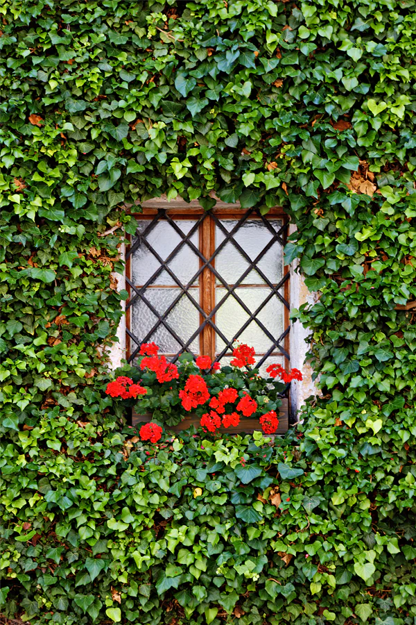 022 | 2025 | Anger | Kloster Höglwörth | © carsten riede fotografie