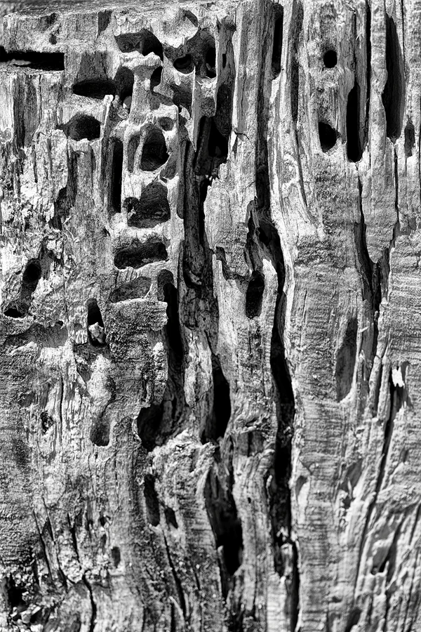 036 | 2025 | Anger | Kloster Höglwörth | © carsten riede fotografie