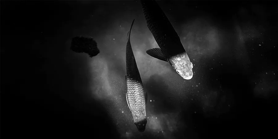 046 | 2025 | Anger | Höglwörther See | © carsten riede fotografie