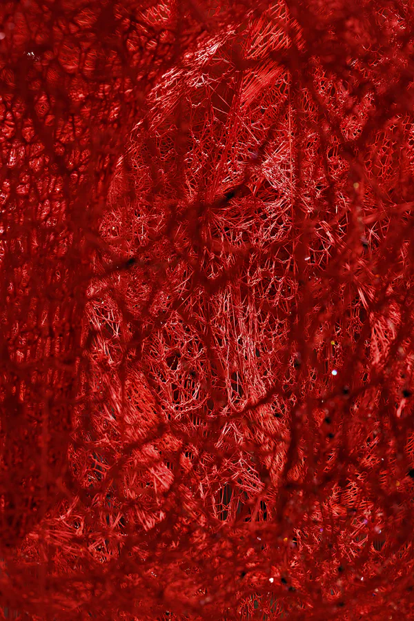 047 | 2025 | Wattens | Swarovski Kristallwelten | © carsten riede fotografie