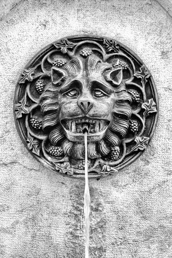 010 | 2025 | Reith im Alpbachtal | Matzenpark | © carsten riede fotografie