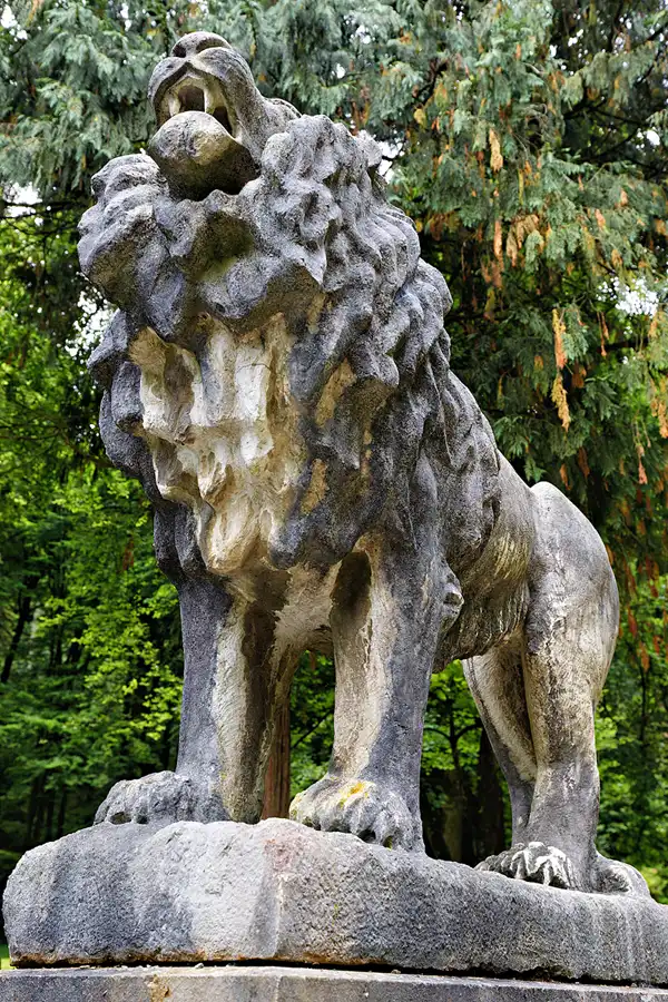 026 | 2025 | Reith im Alpbachtal | Matzenpark | © carsten riede fotografie