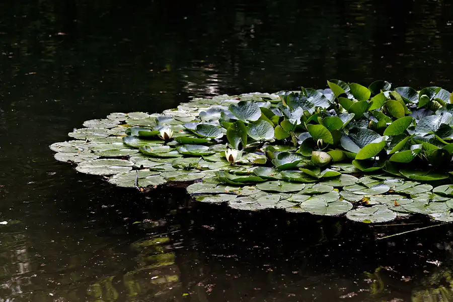 057 | 2025 | Reith im Alpbachtal | Matzenpark | © carsten riede fotografie