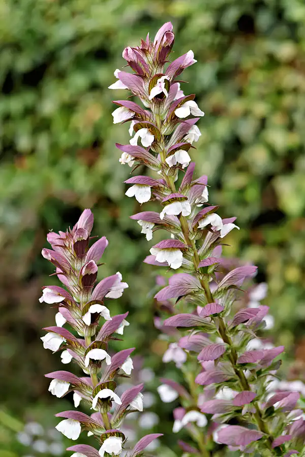 071 | 2025 | Münster | © carsten riede fotografie