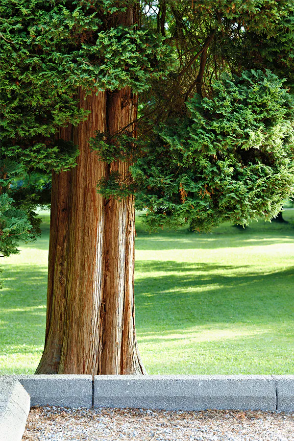 030 | 2025 | Reith im Alpbachtal | Matzenpark | © carsten riede fotografie