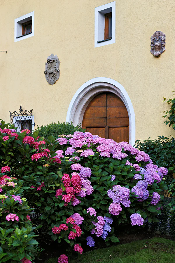 045 | 2025 | Reith im Alpbachtal | Gut Matzen | © carsten riede fotografie