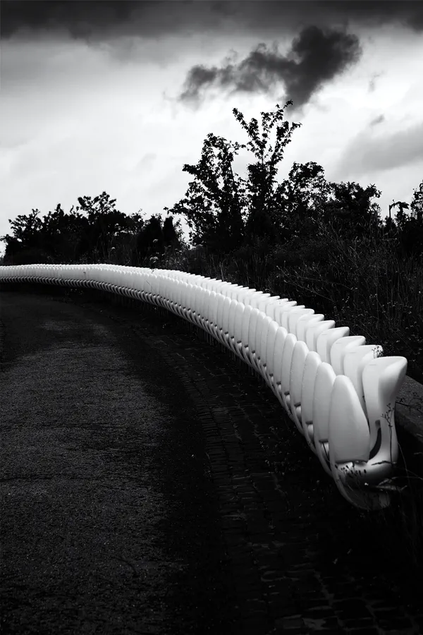 063 | 2025 | München | Allianz Arena | © carsten riede fotografie