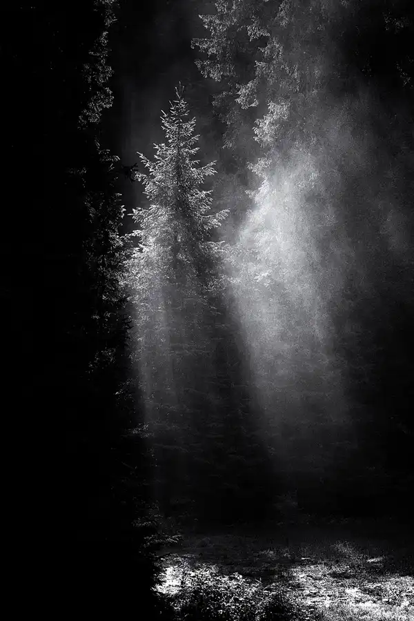 013 | 2025 | Krimml | Krimmler Wasserfälle | © carsten riede fotografie