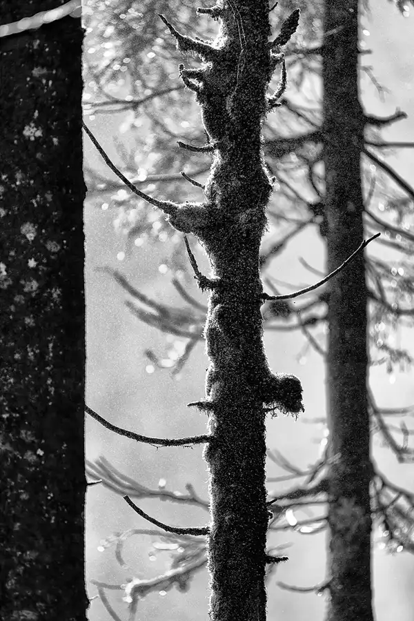 018 | 2025 | Krimml | Krimmler Wasserfälle | © carsten riede fotografie