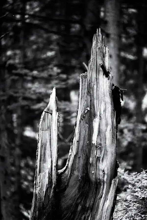 060 | 2025 | Krimml | Krimmler Wasserfälle | © carsten riede fotografie