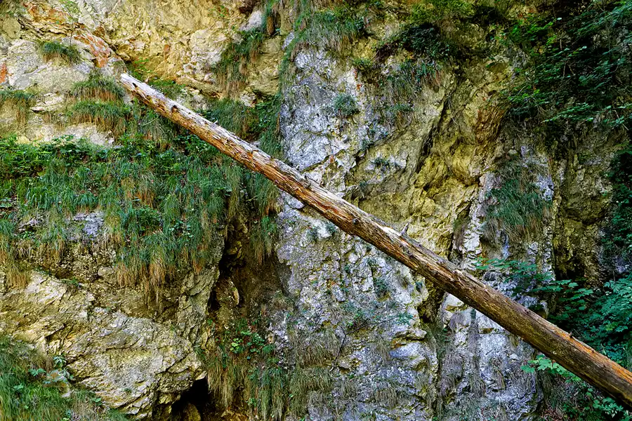 076 | 2025 | Stans | Wolfsklamm | © carsten riede fotografie