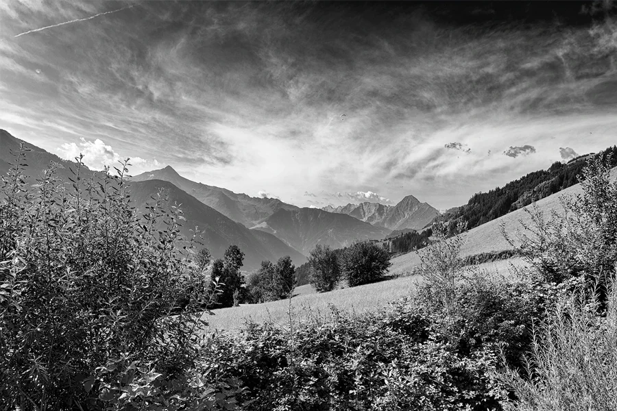 039 | 2025 | Laimach | © carsten riede fotografie