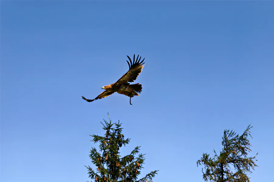 133 | 2025 | Werfen | Burg Hohenwerfen | © carsten riede fotografie