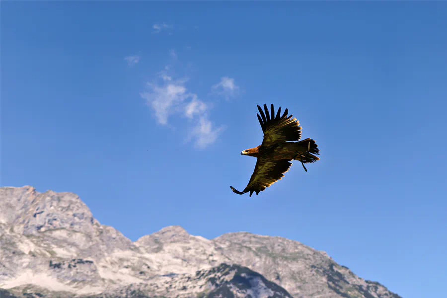 134 | 2025 | Werfen | Burg Hohenwerfen | © carsten riede fotografie