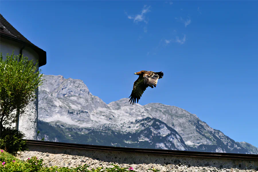 135 | 2025 | Werfen | Burg Hohenwerfen | © carsten riede fotografie