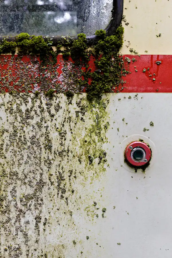 053 | 2025 | Sehnde | Hannoversches Straßenbahn-Museum | © carsten riede fotografie