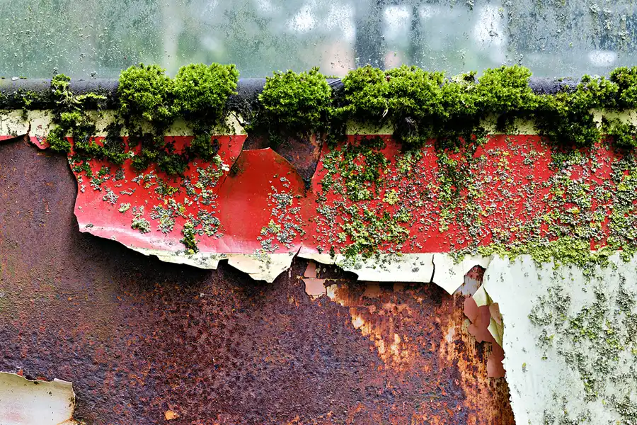 054 | 2025 | Sehnde | Hannoversches Straßenbahn-Museum | © carsten riede fotografie