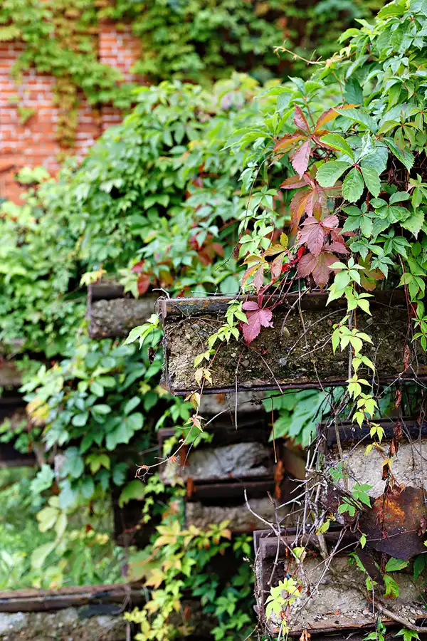 061 | 2025 | Sehnde | Hannoversches Straßenbahn-Museum | © carsten riede fotografie